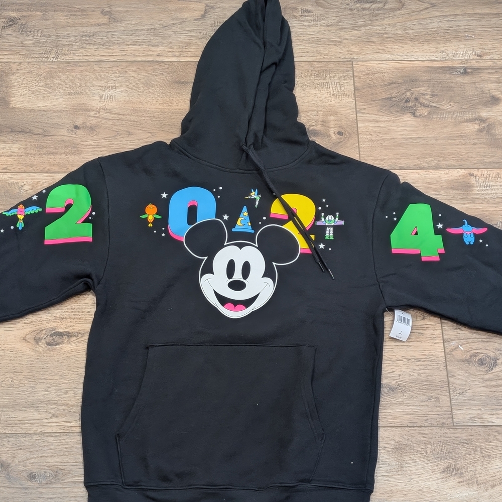 Disneyland Resorts 2024 hooded sweatshirt
